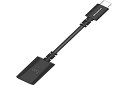 【中古】(非常に良い)AudioQuest DragonTail カーボン USB A to C アダプター ブラック