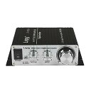 【中古】(非常に良い)Lepy LP-2020A Class-D Hi-Fi デジタルアンプ 電源付き ブラック