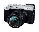 【中古】(非常に良い)パナソニック ミラーレス一眼カメラ ルミックス GX8 レンズキット 高倍率ズームレンズ付属 2030万画素 シルバー DMC-GX8H-S(2)