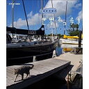 【中古】岩合光昭の世界ネコ歩き フロリダ・キーウエスト ブルーレイ