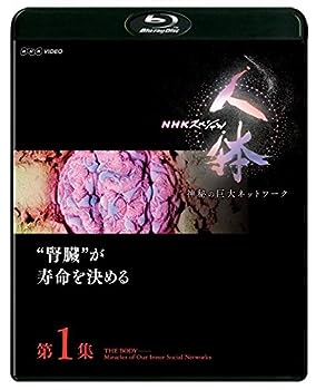 【中古】NHKスペシャル 人体 神秘の巨大ネットワーク 第1集 腎臓が寿命を決める [Blu-ray]