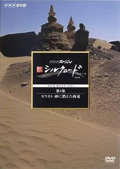 【中古】NHKスペシャル 新シルクロード 特別版 第8集 カラホト 砂に消えた西夏 [レンタル落ち]