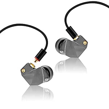 【中古-非常に良い】 final カナル型 有線 イヤホン B2 FI-B2BSSD バランスドアー...