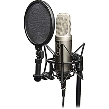 【中古-非常に良い】 RODE Microphones ロードマイクロフォンズ NT2-A コンデンサーマイク NT2A