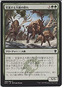  マジック：ザ・ギャザリング (MTG) 突進する大鹿の群れ/Stampeding Elk Herd / タルキール龍紀伝 (日本語版) シングルカード DTK-208-C