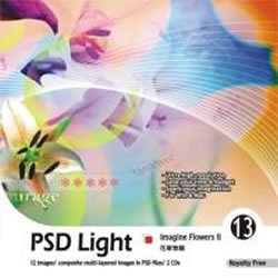 【中古】 ピーエスディ ライト Vol.13 夢想花