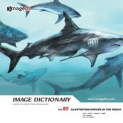 Cinema - 【中古】 イメージ ディクショナリー Vol.90 海関連 イラスト