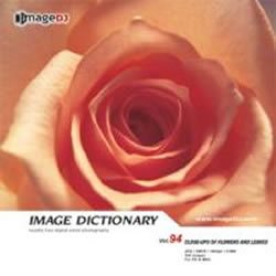 演歌 - 【中古】 イメージ ディクショナリー Vol.94 花と葉の接写