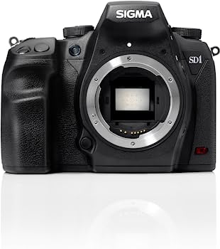 【中古】SIGMA デジタル一眼レフカメラ SD1Merrill 4,600万画素 FoveonX3ダイレクトイメージセンサー(APS-C)搭載 928766当店取り扱いの中古品についてこちらの商品は中古品となっております。 付属品の有無については入荷の度異なり、商品タイトルに付属品についての記載がない場合もございますので、ご不明な場合はメッセージにてお問い合わせください。 買取時より付属していたものはお付けしておりますが、付属品や消耗品に保証はございません。中古品のため、使用に影響ない程度の使用感・経年劣化（傷、汚れなど）がある場合がございますのでご了承下さい。また、中古品の特性上ギフトには適しておりません。当店は専門店ではございませんので、製品に関する詳細や設定方法はメーカーへ直接お問い合わせいただきますようお願い致します。 画像はイメージ写真です。ビデオデッキ、各プレーヤーなど在庫品によってリモコンが付属してない場合がございます。限定版の付属品、ダウンロードコードなどの付属品は無しとお考え下さい。中古品の場合、基本的に説明書・外箱・ドライバーインストール用のCD-ROMはついておりませんので、ご了承の上お買求め下さい。当店での中古表記のトレーディングカードはプレイ用でございます。中古買取り品の為、細かなキズ・白欠け・多少の使用感がございますのでご了承下さいませ。ご返品について当店販売の中古品につきまして、初期不良に限り商品到着から7日間はご返品を受付けておりますので 到着後、なるべく早く動作確認や商品確認をお願い致します。1週間を超えてのご連絡のあったものは、ご返品不可となりますのでご了承下さい。中古品につきましては商品の特性上、お客様都合のご返品は原則としてお受けしておりません。ご注文からお届けまでご注文は24時間受け付けております。当店販売の中古品のお届けは国内倉庫からの発送の場合は3営業日〜10営業日前後とお考え下さい。 海外倉庫からの発送の場合は、一旦国内委託倉庫へ国際便にて配送の後にお客様へお送り致しますので、お届けまで3週間から1カ月ほどお時間を頂戴致します。※併売品の為、在庫切れの場合はご連絡させて頂きます。※離島、北海道、九州、沖縄は遅れる場合がございます。予めご了承下さい。※ご注文後、当店より確認のメールをする場合がございます。ご返信が無い場合キャンセルとなりますので予めご了承くださいませ。