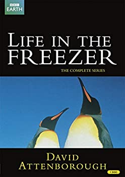 【中古】 Life in the Freezer -極寒の世界- DVD-BOX (6エピソード 174分) [DVD] [輸入盤] [PAL]