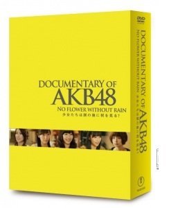 【中古】 DOCUMENTARY OF AKB48 NO FLOWER WITHOUT RAIN 少女たちは涙の後に何を見る? コンプリートDVD-BOX【DVD4枚組】