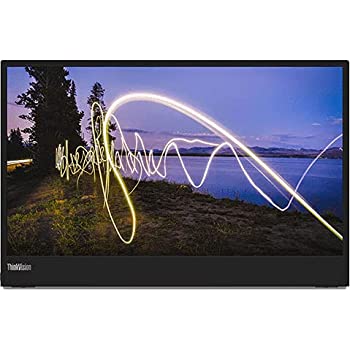 Other - 【中古】ThinkVision M15 (15.6型) 1920×1080/USB Type-C