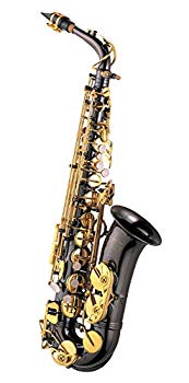 【中古】Jマイケル アルトサックス AL-900B tf8su2k