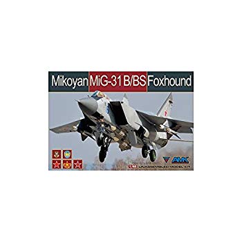 楽天市場】mig－31（プラモデル・模型｜ホビー）の通販