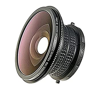 Raynox HDP-2800ES 0.28x High Definition Diagonal Fisheye Conversion Lens for 52 mm Filter