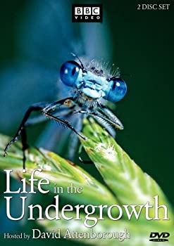 Life in the Undergrowth  