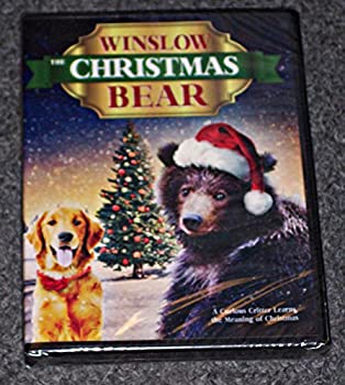 Winslow the Christmas Bear 