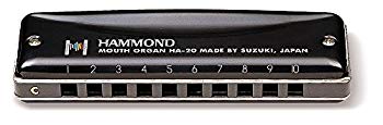 中古 HAMMOND ハモンド 10穴ハーモニカ HAMMOND HA-20 C調 6g7v4d0