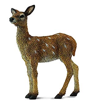 【状態　非常に良い】コレクタ　88471　アカシカ　子ども　Red Deer Calf【メーカー名】collecta【メーカー型番】88471【ブランド名】コレクタ【商品説明】コレクタ　88471　アカシカ　子ども　Red Deer Calf動物のフィギュアこの度はご来店誠に有難うございます！当店では初期不良に限り、商品到着から7日間は返品を受付けております。ご注文後のお客様都合での返品はお受けしておりませんのでご了承ください。他モールとの併売を行っておりますので、万が一売り切れの場合はご連絡させて頂きます。当店の・品は、お客様から買い取りました中古扱い品です。ご注文からお届けまで1、ご注文⇒ご注文は24時間受け付けております。2、注文確認⇒ご注文後、当店から注文確認メールを送信します。3、在庫確認⇒お届けまで3日から10日程度とお考え下さい。商品によってはお取り寄せさせていただきますので、通常よりお時間がかかる場合があります。その際はご連絡させていただきますのでご了承願います。当店は少人数運営のため、電話でのお問い合わせは受け付けておりませんので、メールにてお願い致します。ご来店ありがとうございます。