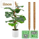OKTOKYU 園芸支柱 観葉植物モンステラ ココスティック ココナッツ ガーデニング つる植物 支柱 植物サポート プラントクライミングポール 園芸用 2本セット