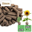 【送料無料】水耕栽培 スポンジ 30個入 水耕栽培 植えるスポンジ 水耕栽培キット 栽培キット 水耕スポンジ 苗床 室内 ガーデン 植物育成