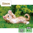 エポック社 108ピース ジグソーパズル いきもの/ペット ねこ ねころびにゃんこ (18.2×25.7cm) 01-070 のり付き ヘラ付き 点数券付き EPOCH