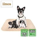 ULIGOTA ペットシーツ 洗える 猫 犬用 おしっこパッド ペット用 トイレ下敷きマット 速乾 洗える ポリエステル 大判サイズ 多頭飼いに最適(ベージュX...
