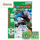パイロットコーポレーション(PILOT CORPORATION) こたえがでてくる! おふろでスタディ 学研の図鑑LIVE 昆虫(3)
