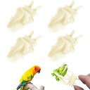 PAVIKE 鳥 野菜ホルダー 鳥 果物クリップ 給餌クリップ 4個セット 果物フィーダー 小鳥用食器 プラスチック製 野菜ホルダー かご ケージ用 野菜固定クランプ 野菜クリップ 鳥の餌クリップ