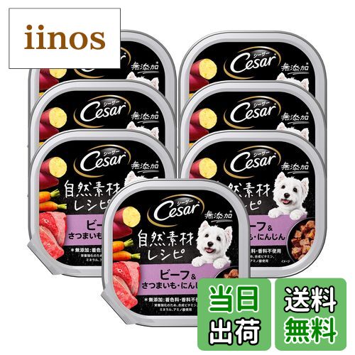 【送料無料】シーザー自然素材トレイ 色：1)85g×7個(お試し)、サイズ：1)85g×7個(お試し)