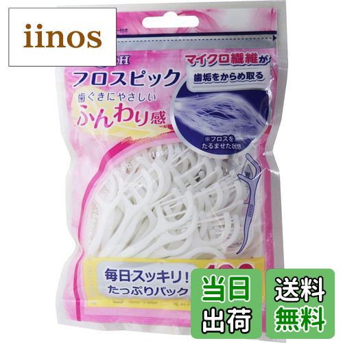 【送料無料】デンタルプロ フレッシュ フロスピック 100本入 色：ホワイト、サイズ：100個 (x ...