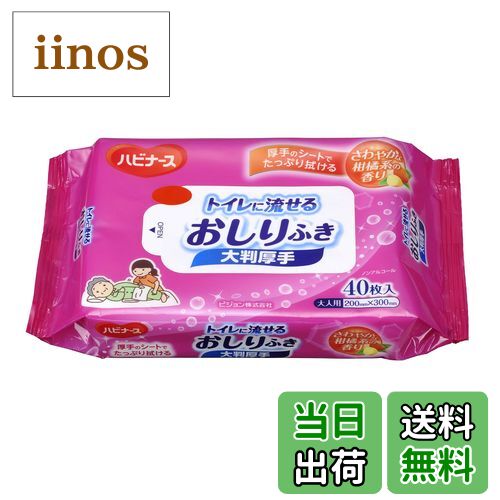 【送料無料】ハビナース トイレに流せるパッとおしりふき サイズ：40シート (x 1)