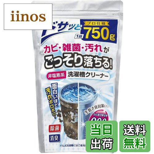 【送料無料】紀陽除虫菊 洗濯槽クリーナー [非塩素系 / 750g] 粉末タイプ 日本産 再付着防止 (洗濯槽掃..