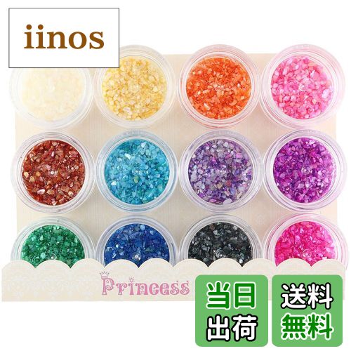 ̵ۥѥ 礭ᥱ(ľ3cm) 12å ѥå12 (x 1)