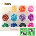 【送料無料】シェルパウダー 大きめケース(直径3cm)入り 12色セット 色:従来パッケージ、サイズ:12個 (x 1)