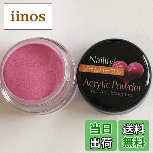 【送料無料】Naility! アクリルカラーパウダー 3g 色：プラムパープル