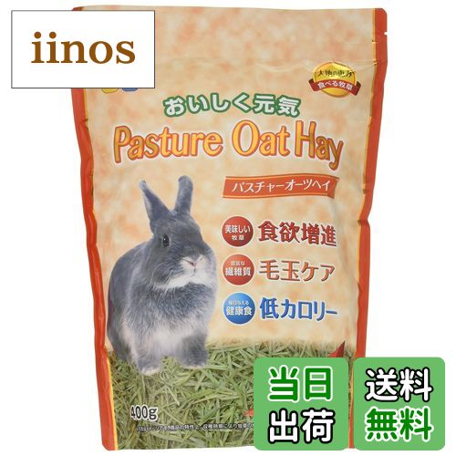 【送料無料】ハイペット パスチャーオーツヘイ サイズ：400グラム (x 1)