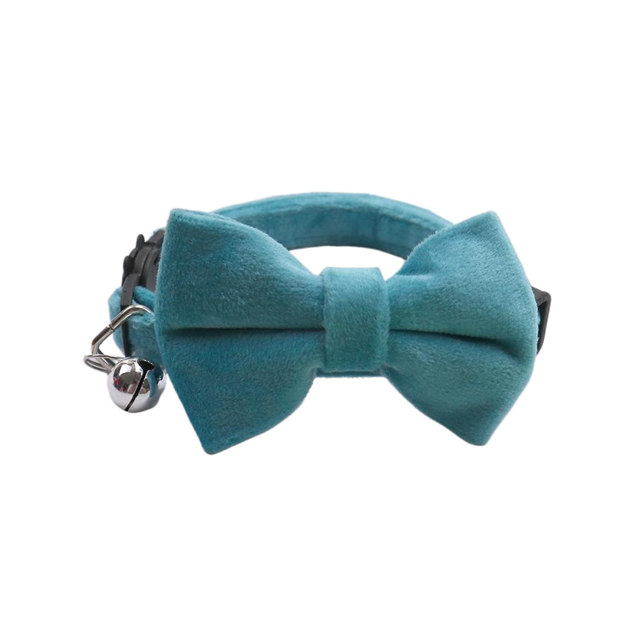 ̵BLOOPIC   դ ĳ ǭ ǭӤ  Ĵǽ 餫 İ   ڥå ǭ...