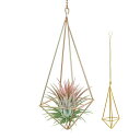 【送料無料】NOELAMOUR プラントハンガー アイアン エアプランツ ホルダー 吊り下げ フラワースタンド 園芸ラック 屋内屋外 全長48.5×幅8cm (ゴールド)