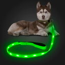 【送料無料】Candofly 反射型 LED 犬用リード - 暗闇で光る犬用リード USB 充電式照明付き犬用ロープ、4 フィートの耐久性のある耐水性点滅犬用リード、ペットの犬の夜の散歩用 (緑)