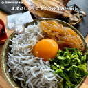 【釜揚げしらすと生白魚の沖漬けのセット】国産 送料無料 生 冷凍 しらす丼 沖漬け 天然 海鮮 母の日 父の日 敬老の日 御中元 御歳暮 御祝 ギフト 3人前 ...