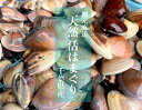 天然 はまぐり 蛤 ハマグリ 国産はまぐり 特大サイズ 大サイズ 中サイズ 1kg 愛知県産