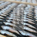 【メヒカリの(ゴロ干し)丸干し】【中〜大サイズ】メヒカリ 目光 国産 送料無料 冷凍 ふっくら 天然 海鮮 母の日 父の日 敬老の日 お祝い 御中元 御歳暮 ギ...
