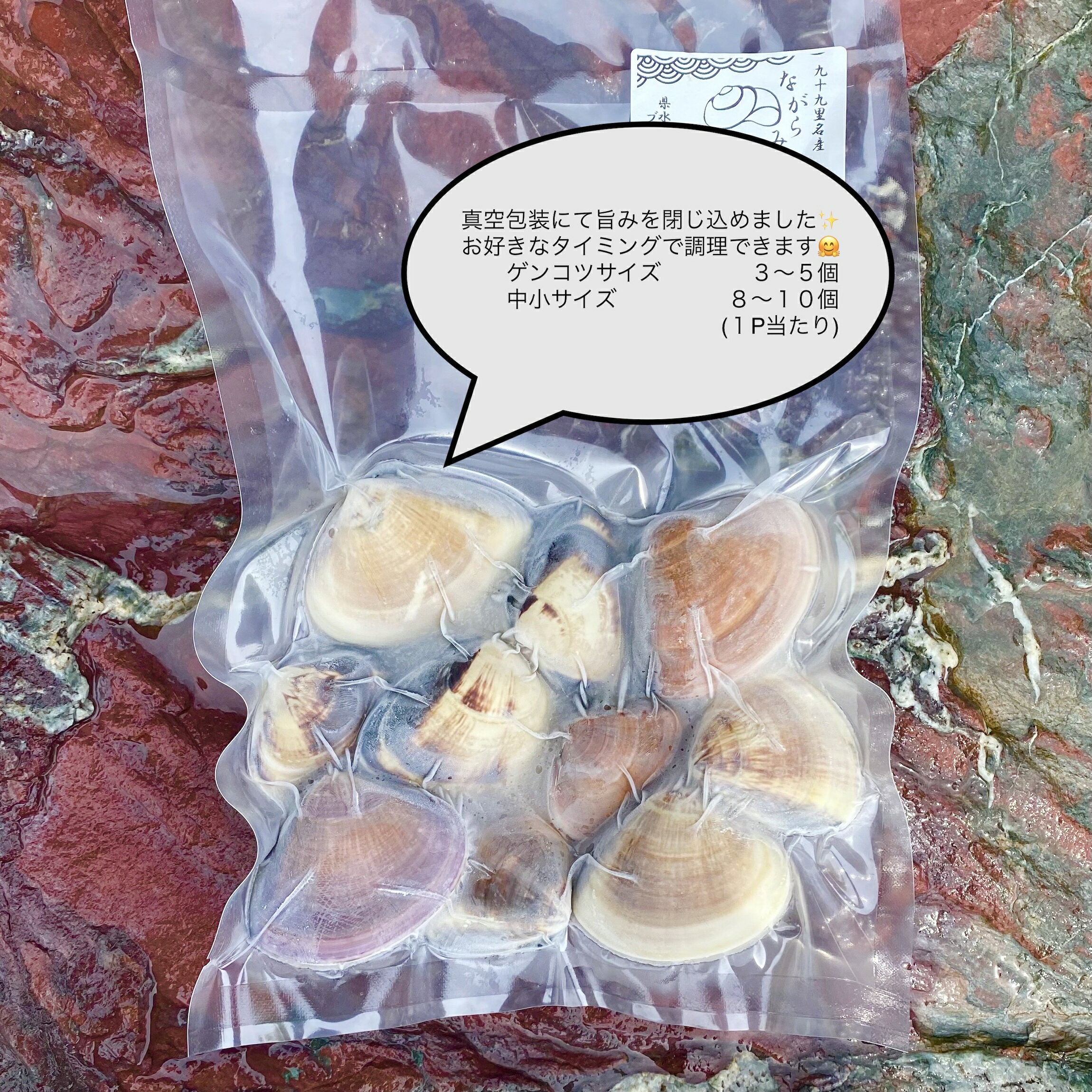 【冷凍品】天然はまぐり 中サイズ【千葉県産】【九十九里産】送料無料　国産　天然...