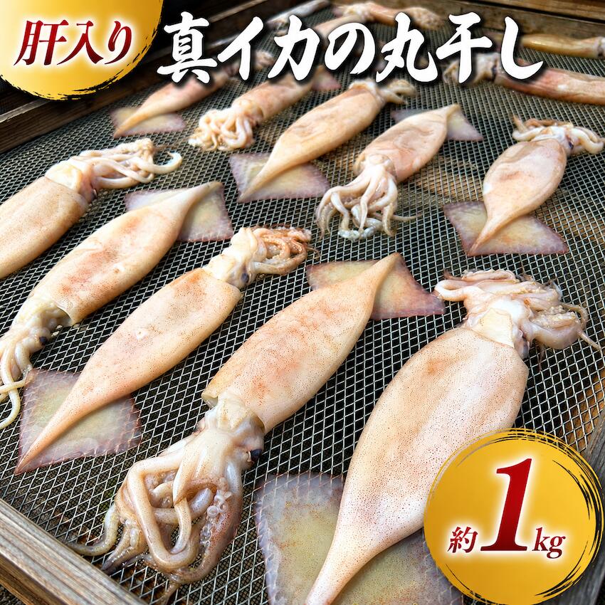 商品情報名称真いかのゴロ干し(丸干し)原材料名真イカ(千葉県産)、食塩内容量1Pあたり180g賞味期限別途商品ラベルに記載保存方法要冷凍(-18度以下)にて保存してください。製造者または販売者大納屋　伊藤良衛飯岡ヤマイチ水産備考※加熱調理してお食べ下さい。クール(冷凍)便のお届けとなります。【訳あり】 真イカの丸干し 約1キロ　大中サイズ ドーンと1kg！肝が醍醐味の真イカのゴロ干し★肝のほろ苦さが絶品！ 銚子港で水揚げされた、鮮度抜群の真イカ。肝まで美味しい真イカを、じっくり丁寧に天日干しに仕上げました。焼き上げると広がる、イカの香ばしさ。噛むほどに溢れる濃厚な旨みと、肝のほろ苦さ。ご飯のお供にはもちろん、お酒好きにはたまらない“最高の肴”です。魚焼きグリルや、フライパン＋クッキングシートで弱火でじっくり焼くのがおすすめ。※完全に解凍すると肝が流れ出やすくなるため、「半解凍くらい」で焼いていただくのがおすすめです。肝の旨みをしっかり閉じ込めたまま、美味しく焼き上がります。◾️ 真イカとは一般的に“スルメイカ”とも呼ばれる真イカ。日本人に最も親しまれているイカのひとつで、世界で獲れるイカの多くを日本人が食べているとも言われています。その中でも、鮮度の良い真イカだけを厳選。丸ごと味わえる「ゴロ干し」に仕上げました。◾️ 『干し』のスペシャリストが仕上げます代々受け継がれてきた天日干し製法。しらす干しをはじめ、“干し”にこだわり続けてきた飯岡ヤマイチ水産だからこそできる味があります。じっくり干し上げることで、イカ本来の旨みをぎゅっと凝縮。噛めば噛むほど美味しい、そんな干物に仕上げています。◾️ 旨みを引き出す「天日干し」天日干しにすることで余分な水分が抜け、イカの旨み成分が凝縮。自然の力で、味わい深く仕上げています。◾️ 無添加仕上げ使うのは、五島の天然塩のみ。余計なものは加えず、素材の良さを最大限に引き出しました。“素材の旨みを食べる”そんな一品です。◾️ 作りたての旨さをそのまま干し上げた真イカは真空包装し、急速冷凍。鮮度と旨みを閉じ込め、ご自宅でも作りたての美味しさをお楽しみいただけます。◾️ 六次産業だからできるモノづくり「獲る」「加工する」「販売する」すべて自分たちで行う、六次産業だからこそ追求できる味。漁師直営の本気の干物、ぜひ一度ご賞味ください。【商品内容】品名：真イカのゴロ干し（丸干し）内容量：1尾入り（大中サイズ）※個体差がございます。【原材料】真イカ（銚子産）、食塩【保存方法】冷凍保存で約1ヶ月解凍後は冷蔵保存にて2日以内にお召し上がりください。【お召し上がり方】加熱調理してお召し上がりください。魚焼きグリル、またはフライパン＋クッキングシートで弱火でじっくり焼くのがおすすめです。※半解凍の状態で焼くと、肝の旨みを逃さず美味しく焼き上がります。 5