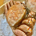 特大毛蟹・特大たらば超豪華セット