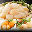 ホタテ ほたて 帆立 500g 貝柱 北海道産 刺身 国産 13~15玉 ほたて貝柱 生ほたて貝柱 ギフト 贈り物 海鮮丼 高級 お取り寄せ おかず おつまみ ...