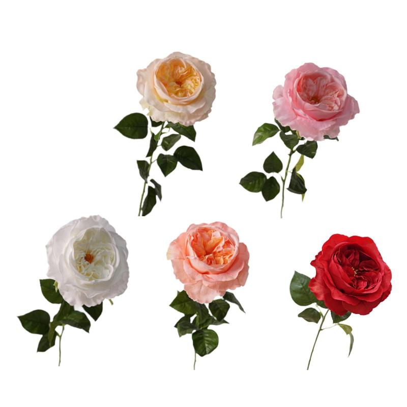 ¤֤ΥХβ« եե ơ֥륻󥿡ԡ ꥢʥХ ʪΤ褦ʥå  ˥󥰥롼 ۡ եƥХ