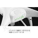 iishop:10004381のサンプル画像2