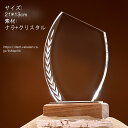 【文字彫刻無料】 クリスタル トロフィー イベント スポーツ 美しく 輝く クリスタルトロフィー オーダーメイド 文字入 ロゴ 写真(レーザー加工)も可能 社内表彰・イベント・コンテストの表彰用トロフィーとして、ご利用ください。